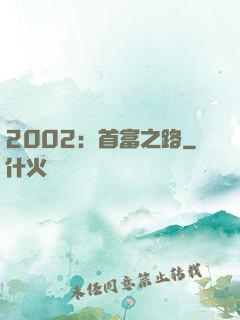 2002：首富之路