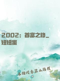 2002：首富之路