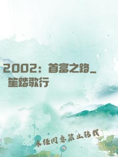 2002：首富之路