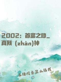 2002：首富之路