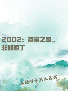2002：首富之路