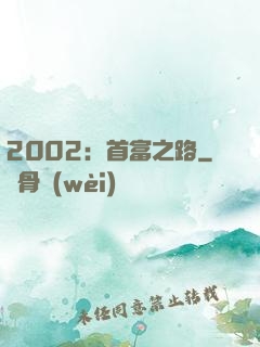 2002：首富之路