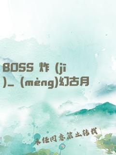 BOSS轟炸機(jī)