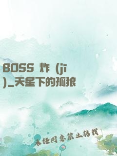 BOSS轟炸機(jī)