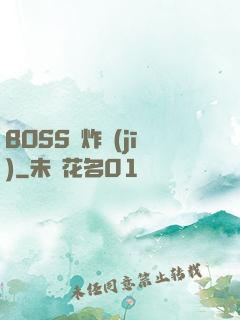 BOSS轟炸機(jī)