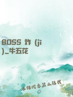 BOSS轟炸機(jī)