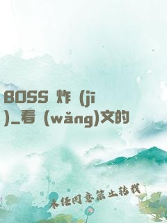 BOSS轟炸機(jī)