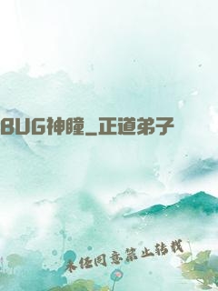 BUG神瞳