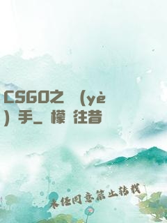 CSGO之職業(yè)選手