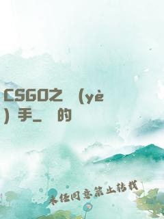 CSGO之職業(yè)選手