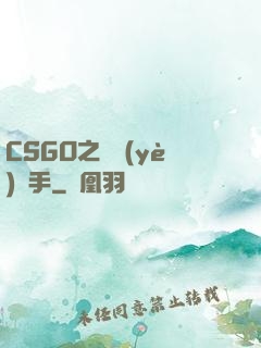CSGO之職業(yè)選手