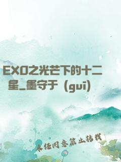 EXO之光芒下的十二顆星