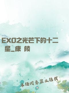 EXO之光芒下的十二顆星