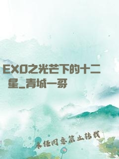 EXO之光芒下的十二顆星