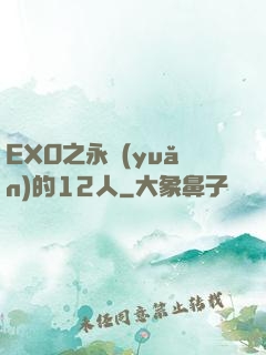 EXO之永遠(yuǎn)的12人