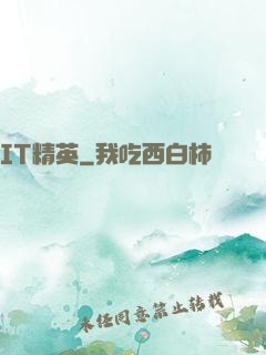 IT精英