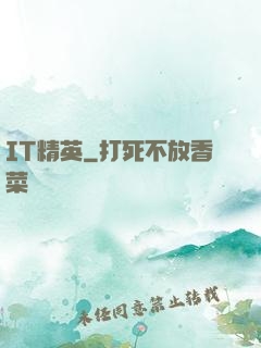 IT精英