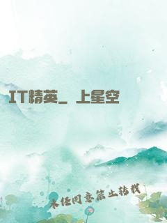 IT精英