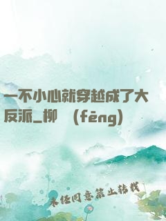 一不小心就穿越成了大反派