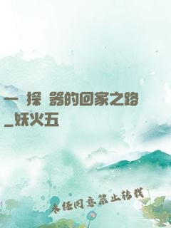一個探測器的回家之路