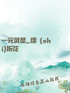 一元武圣