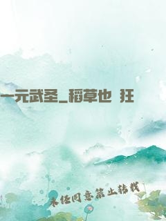 一元武圣