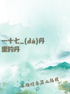 一十七
