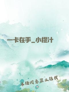 一卡在手