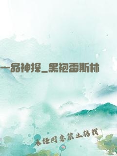 一品神探