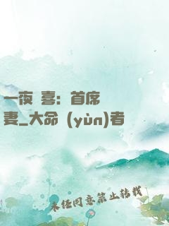 一夜驚喜：首席絕寵嬌妻
