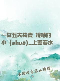 一女五夫共妻蘇婉晴的小說(shuō)