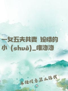 一女五夫共妻蘇婉晴的小說(shuō)