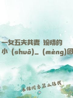 一女五夫共妻蘇婉晴的小說(shuō)