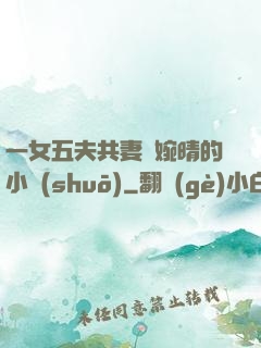 一女五夫共妻蘇婉晴的小說(shuō)
