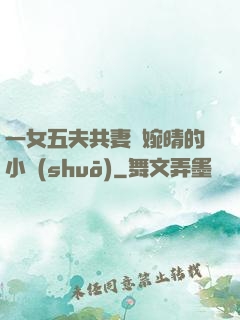 一女五夫共妻蘇婉晴的小說(shuō)