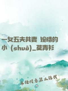 一女五夫共妻蘇婉晴的小說(shuō)