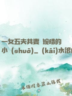 一女五夫共妻蘇婉晴的小說(shuō)