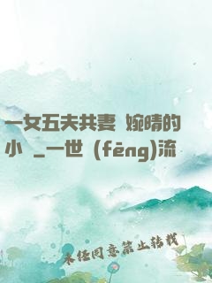 一女五夫共妻蘇婉晴的小說