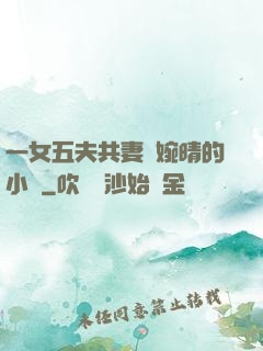 一女五夫共妻蘇婉晴的小說