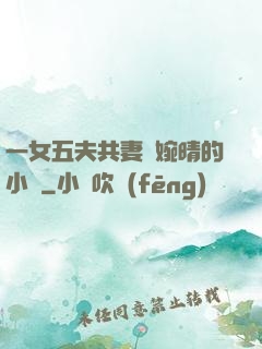 一女五夫共妻蘇婉晴的小說