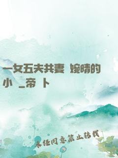 一女五夫共妻蘇婉晴的小說