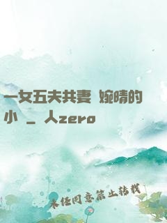 一女五夫共妻蘇婉晴的小說