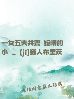 一女五夫共妻蘇婉晴的小說