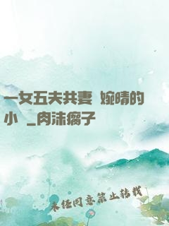 一女五夫共妻蘇婉晴的小說