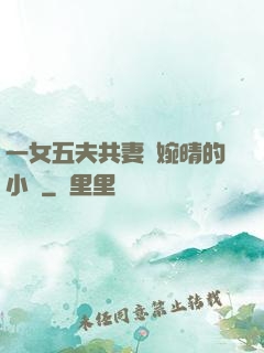 一女五夫共妻蘇婉晴的小說