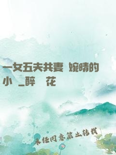 一女五夫共妻蘇婉晴的小說
