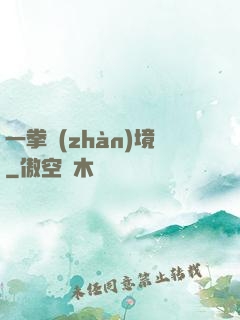 一拳戰(zhàn)境