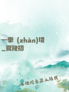 一拳戰(zhàn)境