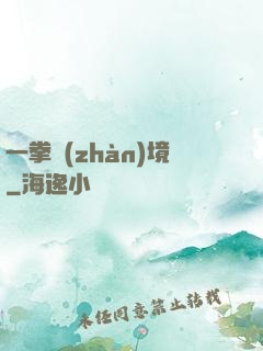 一拳戰(zhàn)境