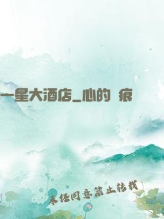 一星大酒店